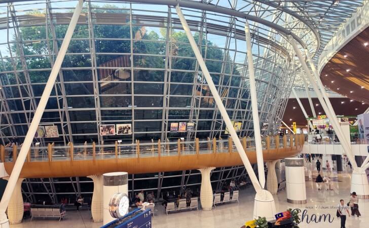 クアラルンプール国際空港ターミナル1にあるKLIA Jungle Boardwalk（ジャングルボードウォーク）