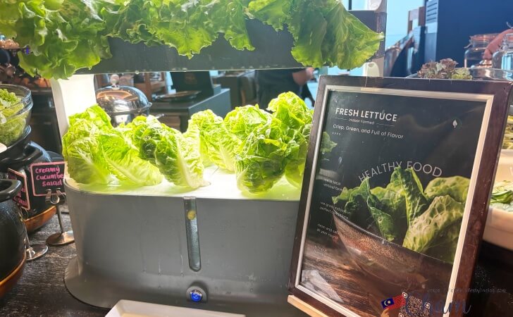 ハイアットセントリックコタキナバルの朝食で提供されているフレッシュレタス