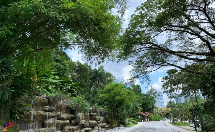 KL植物園内の木々