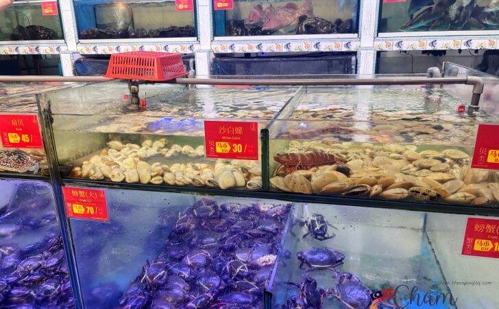 ウェルカムシーフードレストランの生簀にある貝