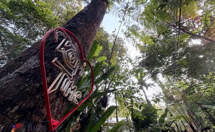 森林の中にあるKopi Hutan（コピフタン）