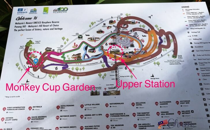 ペナンヒルの地図とKopi Hutan（コピフタン）の場所