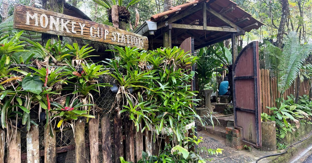 ペナンヒルのモンキーカップガーデンにあるカフェのKopi Hutan