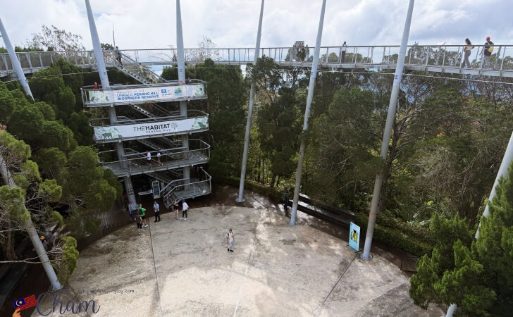 ザ・ハビタットペナンヒルのツリートップウォーク
