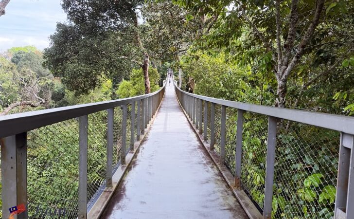 ザ・ハビタットペナンヒルのキャノピーウォーク