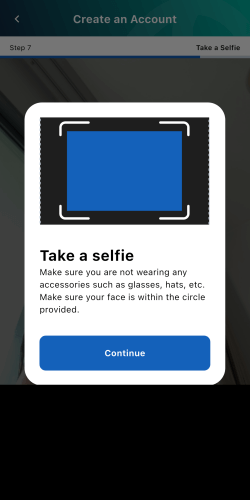 MyNIISe(マイニース)のセルフィー撮影指示画面