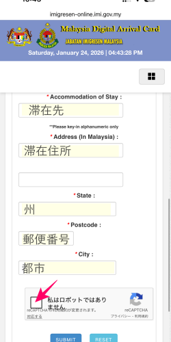 MDAC（マレーシアデジタルアライバルカード）の旅行情報入力事項2