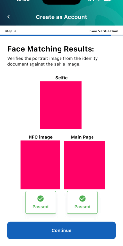 MyNIISe(マイニース)のセルフィーで合格になった画面