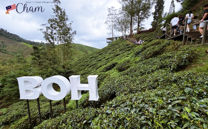 Sungei Palas Gardenにあるボーティーセンターへの階段