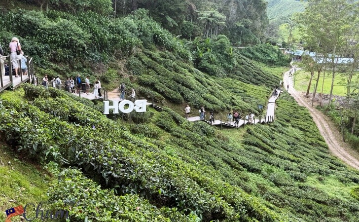 Sungei Palas Gardenからの眺め