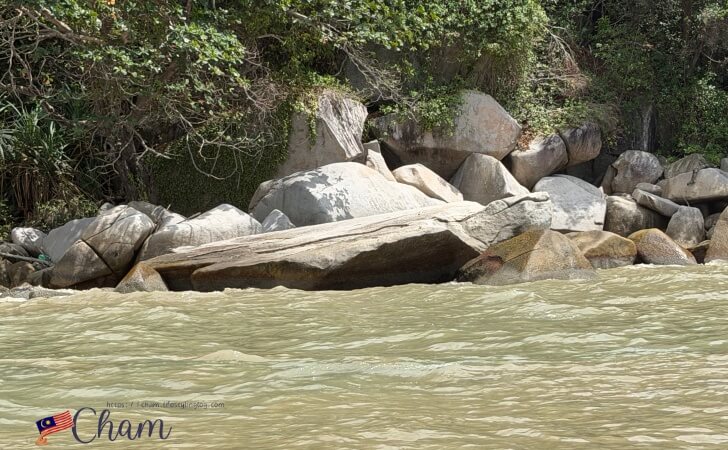 ペナン国立公園内にある亀に見える岩
