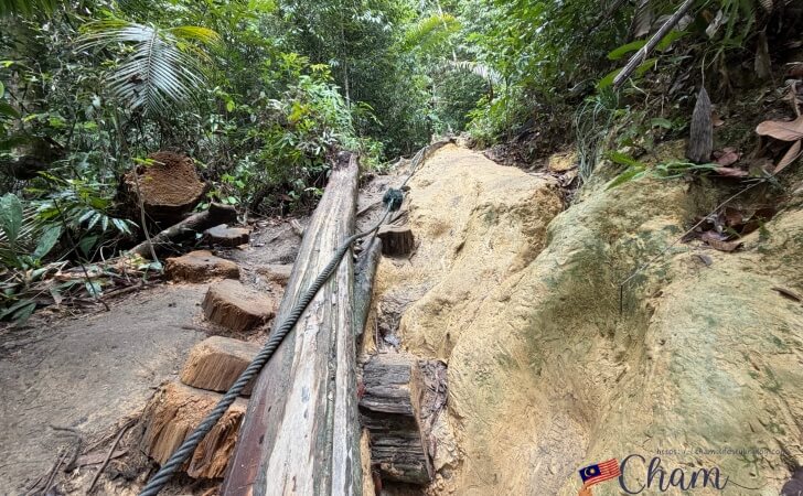 滑りやすい箇所があるペナン国立公園のトレッキングコース