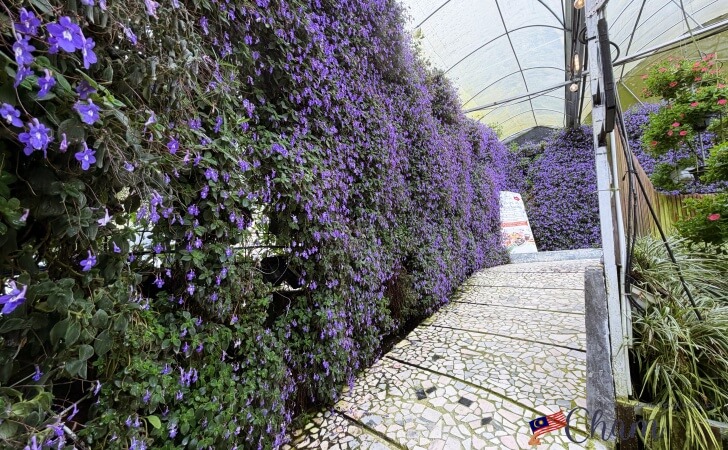 キャメロンハイランドフローラパーク(Cameron Highlands Flora Park)の園内