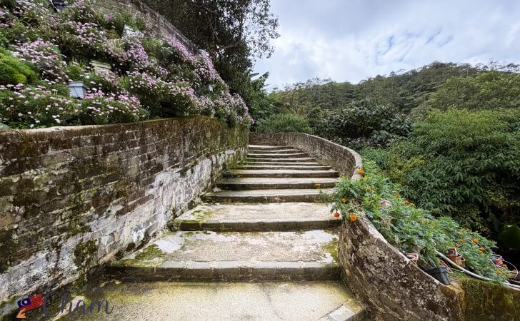 キャメロンハイランドフローラパーク(Cameron Highlands Flora Park)の階段