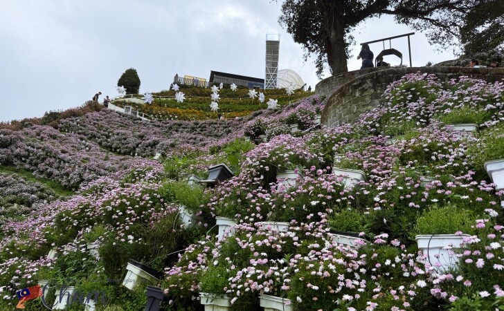 キャメロンハイランドフローラパーク(Cameron Highlands Flora Park)の天国への階段がある場所