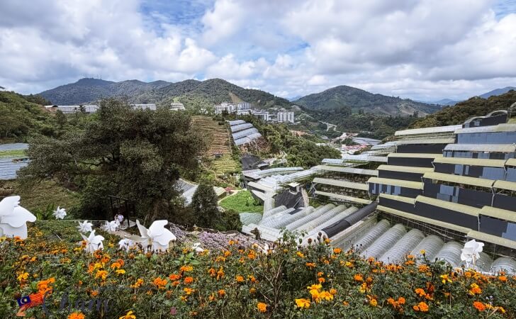 キャメロンハイランドフローラパーク(Cameron Highlands Flora Park)のスカイステアケースから見える風景