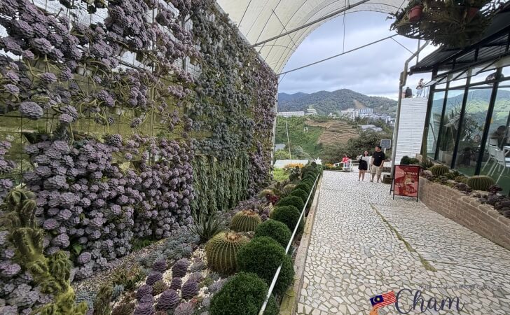 The Views Cafe@CH Flora Parkから見えるキャメロンハイランドの風景