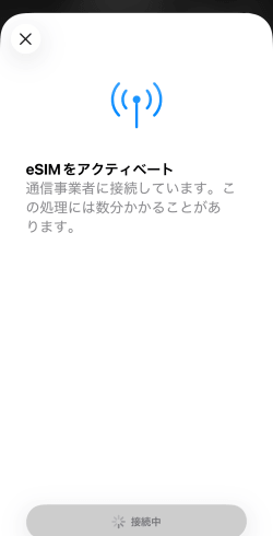 SkyeSiMのアクティベート方法2