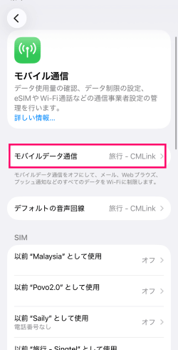 SkyeSiMのアクティベート方法8